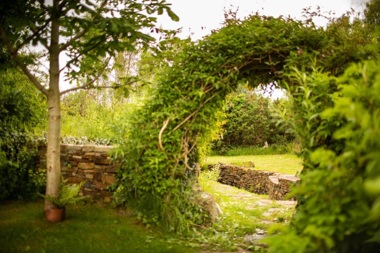 Corcreggan Mill B&B & Self-Catered Accommodation Dunfanaghy Exteriér fotografie